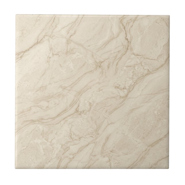 Beige Marble Neutral Elegant Contemporary Style Tile (Front)