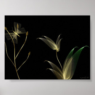 Beige on Black Poster