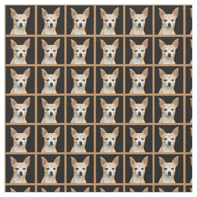 Beige painted chihuahua on black background fabric (Close Up)