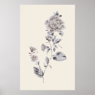 Beige rose poster