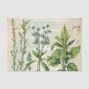 Beige Vintage Watercolor Natural Wildflower Tissue Paper