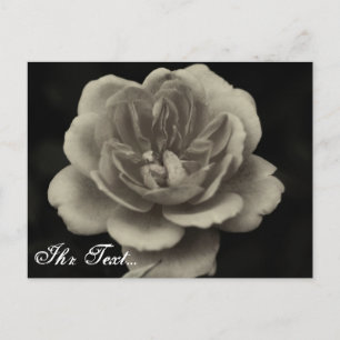 Beileidskarte Postcard