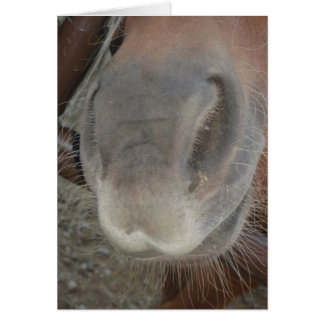 BEIN' NOSEY