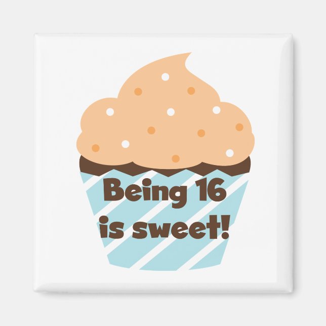 Being 16 is Sweet Birthday T shirts and Gifts Magnet (Front)