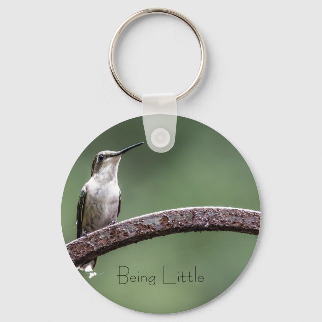 Being Little Hummingbird Button Keychain (Front)