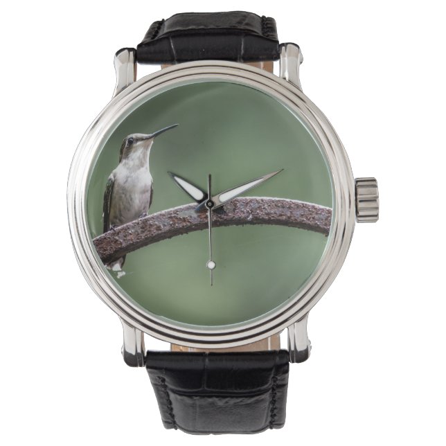 Being Little Hummingbird Vintage Leather Strap Watch (Front)