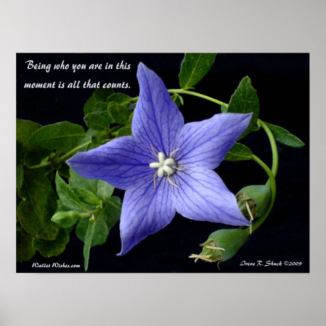 Being who you are. poster (Front)