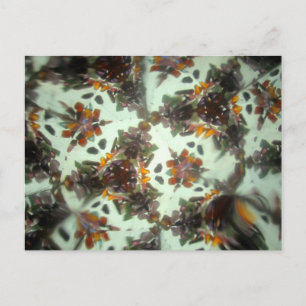 Bejeweled Kaleidescope 27 Postcard
