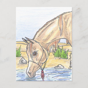 "Bejh bint Ahwa"  Postcard