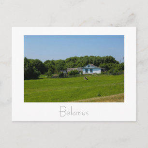Belarus Беларусь Landscape Nature Postcard