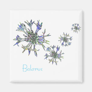 Belarus Беларусь National Corn Flower Magnet