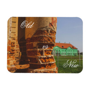 Belarus Беларусь Ruzhany Palace Ruins Architecture Magnet