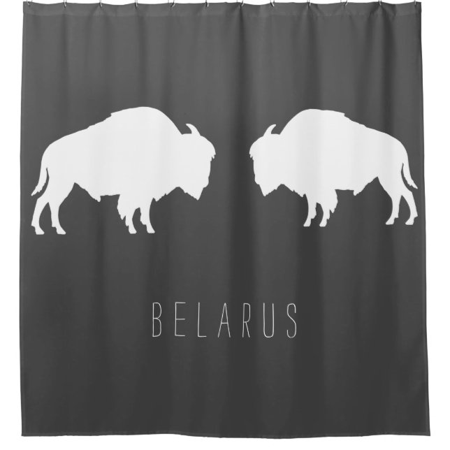 Belarus Belarusian Bison Зубр Беларусь Minimalism Shower Curtain (Front)
