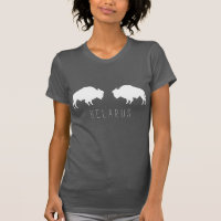 Belarus Belarusian Bison Зубр Беларусь Minimalism