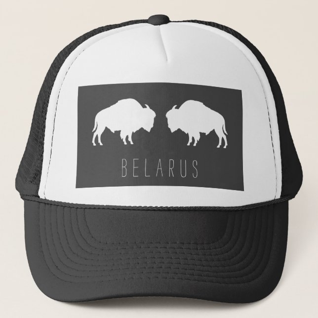 Belarus Belarusian Bison Зубр Беларусь Minimalism Trucker Hat (Front)