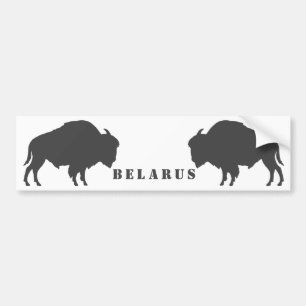 Belarus Belarusian Bison Зубр Беларусь Travel Bumper Sticker
