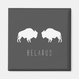Belarus Belarusian Bison Зубр Беларусь Travel Magnet