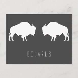 Belarus Belarusian Bison Зубр Беларусь Travel Postcard