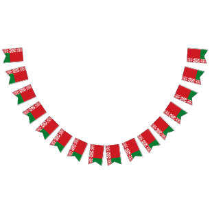 Belarus Flag