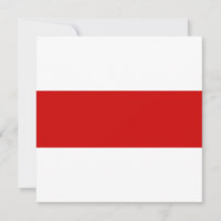 Belarus Flag (Red and White)