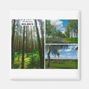 Belarus Greetings Nature Forest Scenery Magnet