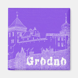 Belarus Grodno Cityscape City Architecture Castle Magnet