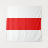 Belarus protest flag symbol red white revolution f