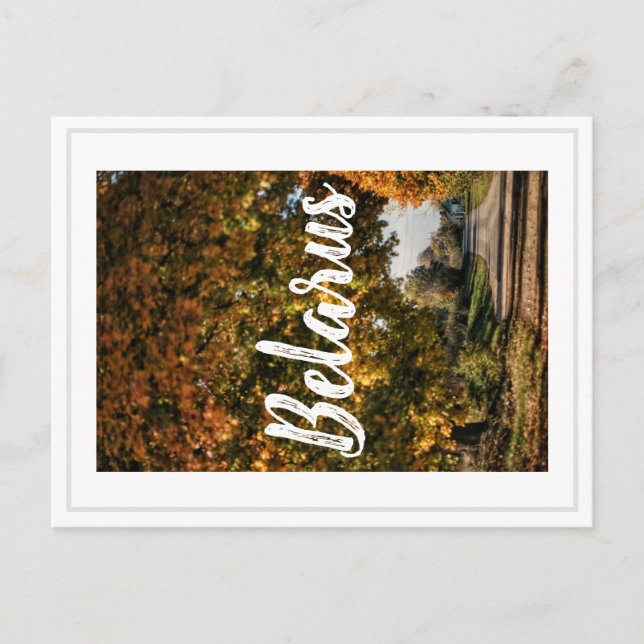 Belarus Rural Countryside Landscape Postcard (Front)