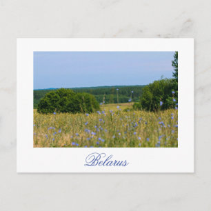 Belarus Rural Landscape Countryside Postcard