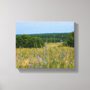 Belarus Rural Landscape Nature Countryside Canvas Print