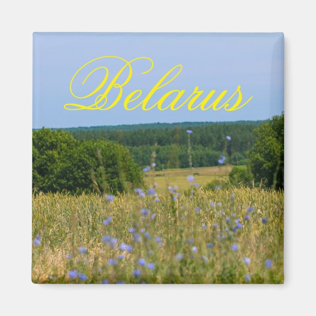 Belarus Rural Landscape Nature Countryside Magnet (Front)