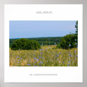 Belarus Rural Landscape Nature Countryside Poster