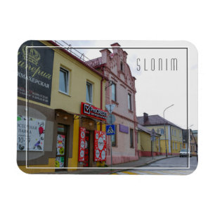 Belarus Slonim City Town View Architecture Magnet