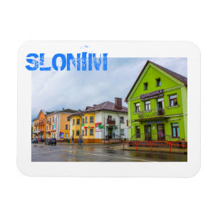 Belarus Slonim City Town View Architecture Magnet