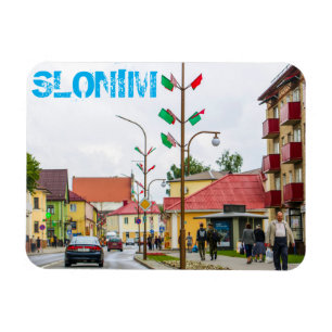 Belarus Slonim City Town View Architecture Magnet