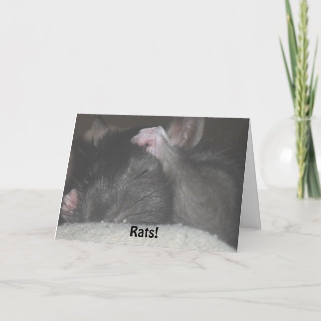 Belated Birthday Card (Front)