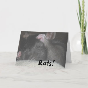 Belated Birthday Card