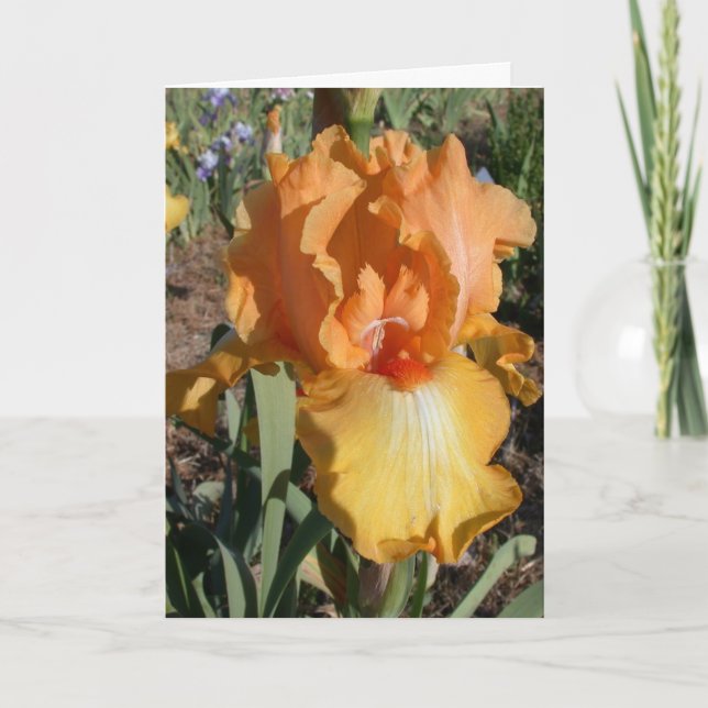 Belated Birthday Card - Memory (Front)