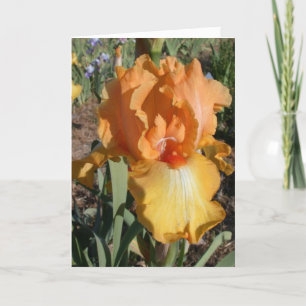 Belated Birthday Card - Memory