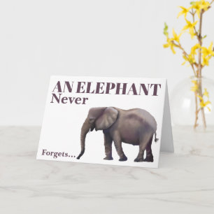 Belated Birthday Elephant  Card