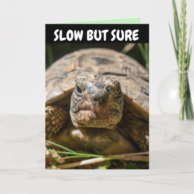 BELATED BIRTHDAY FUNNY TURTLE Greeting Card (Front)