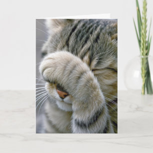 Belated Birthday Grey Tabby Cat Card