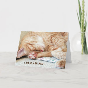 belated birthday-tabby cat card