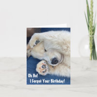 Belated Birthday