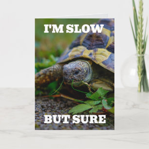 BELATED BIRTHDAY TURTLE BIG GREETING CARD