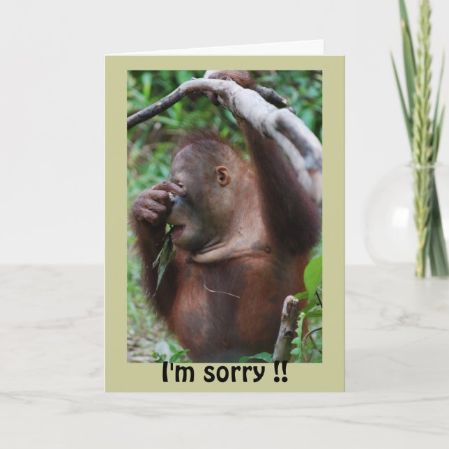 Belated Happy Birthday Card (Front)