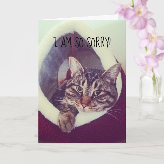 Belated Sorry Grey Tabby Kitty Placeholder Photo Card (Orchid)