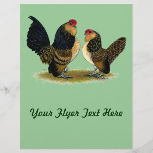Belgian d'Anvers Bantams:  Quail Flyer