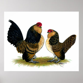 Belgian d'Anvers Bantams: Quail Poster
