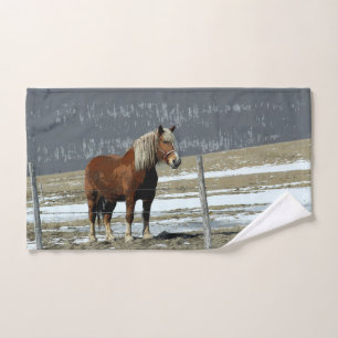 Belgian Draft Horse In Paddock Hand Towel